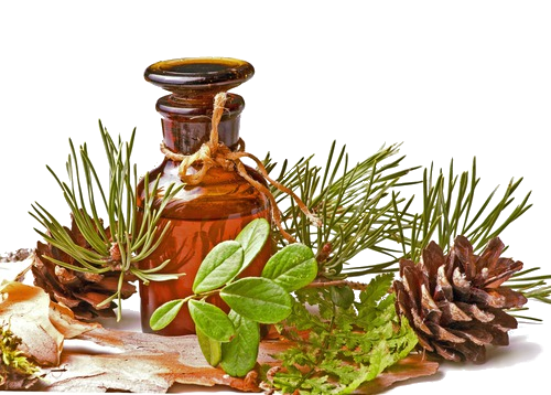 Эфирное масло и еловые шишки 