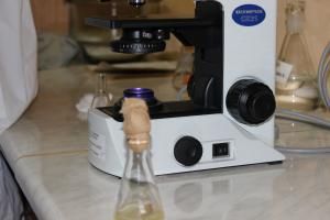 Семинар для молодых ученых: «Научно-практический центр гигиены: современный взгляд» 14 Семинар для молодых ученых: «Научно-практический центр гигиены: современный взгляд» 14